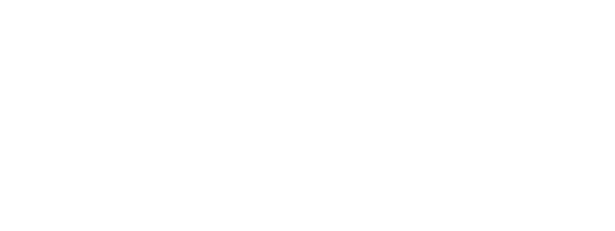logoigor
